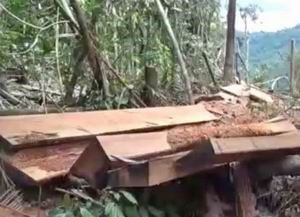 Sớm đưa vụ phá rừng khu vực thủy điện Đồng Nai 5 ra xét xử